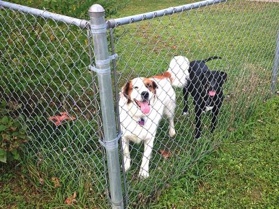 Residential Chain Link Fence Repair